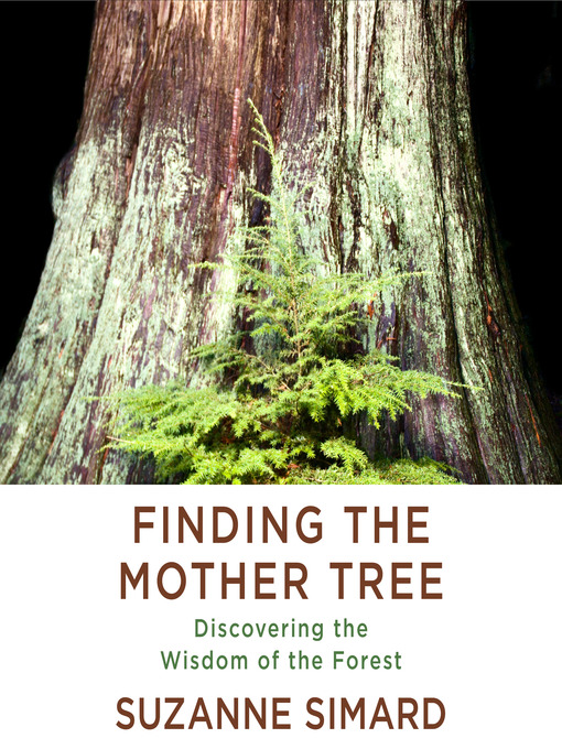Title details for Finding the Mother Tree by Suzanne Simard - Wait list